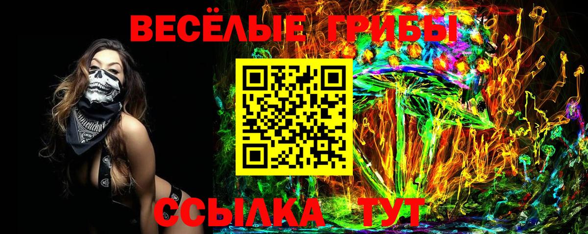 Псилоцибиновые грибы MAGIC MUSHROOMS  Галлюциногенные грибы ЛСД  Городец  купить  сайты  Вход с VPN 